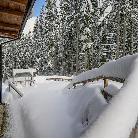 Liska Jasna * Liptovský Mikuláš